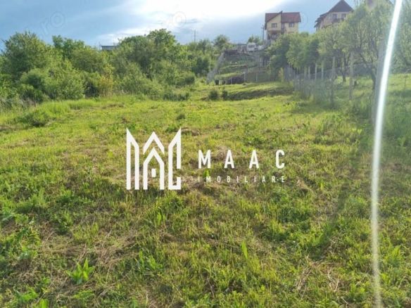 Teren intravilan de vânzare Daia Nouă | 1000 mp | Ideal pentru construcție
