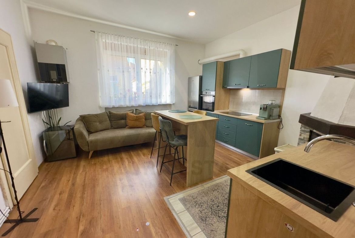 Apartament la casa 76 mp utili terasa curte si pivnita zona Lupeni