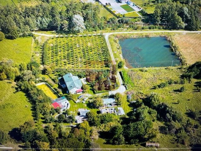 O proprietate de exceptie la Corbi, 18 ha, izvor, lac, pastravarie