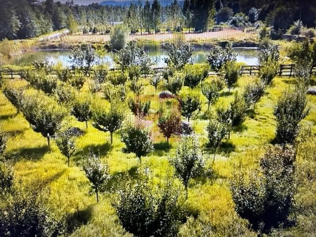 O proprietate de exceptie la Corbi, 18 ha, izvor, lac, pastravarie