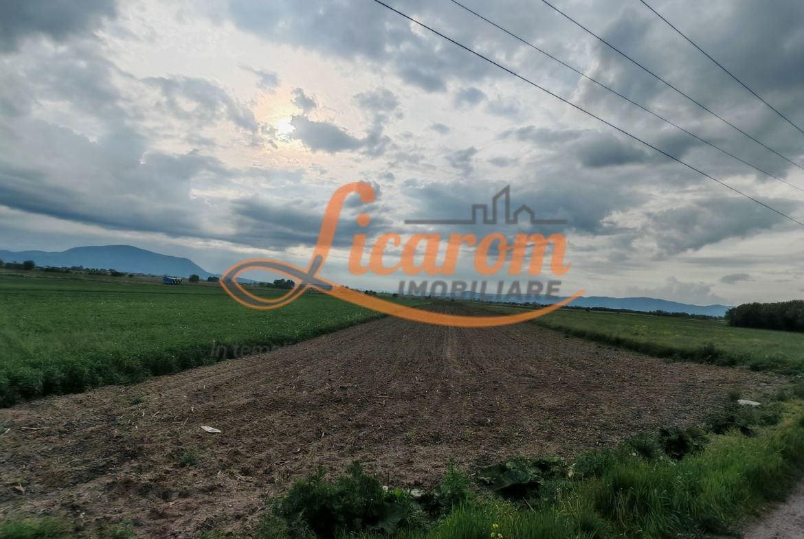 Teren Stupini Calea Feldioarei 11800 mp,25 euro/mp, front asfalt-DN13