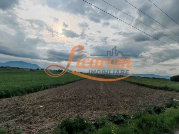 Teren Stupini Calea Feldioarei 11800 mp,25 euro/mp, front asfalt-DN13