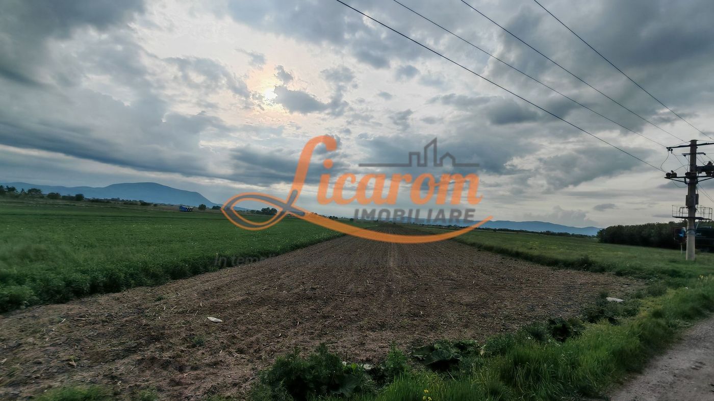 Teren Stupini Calea Feldioarei 11800 mp,25 euro/mp, front asfalt-DN13
