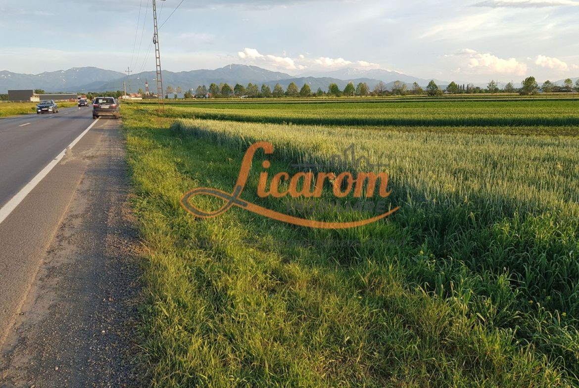 Teren Stupini Calea Feldioarei 11800 mp,25 euro/mp, front asfalt-DN13