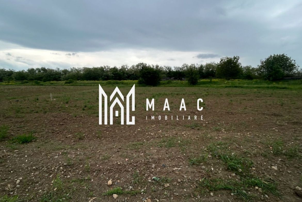 Teren Șelimbăr | 4517Mp | Intravilan