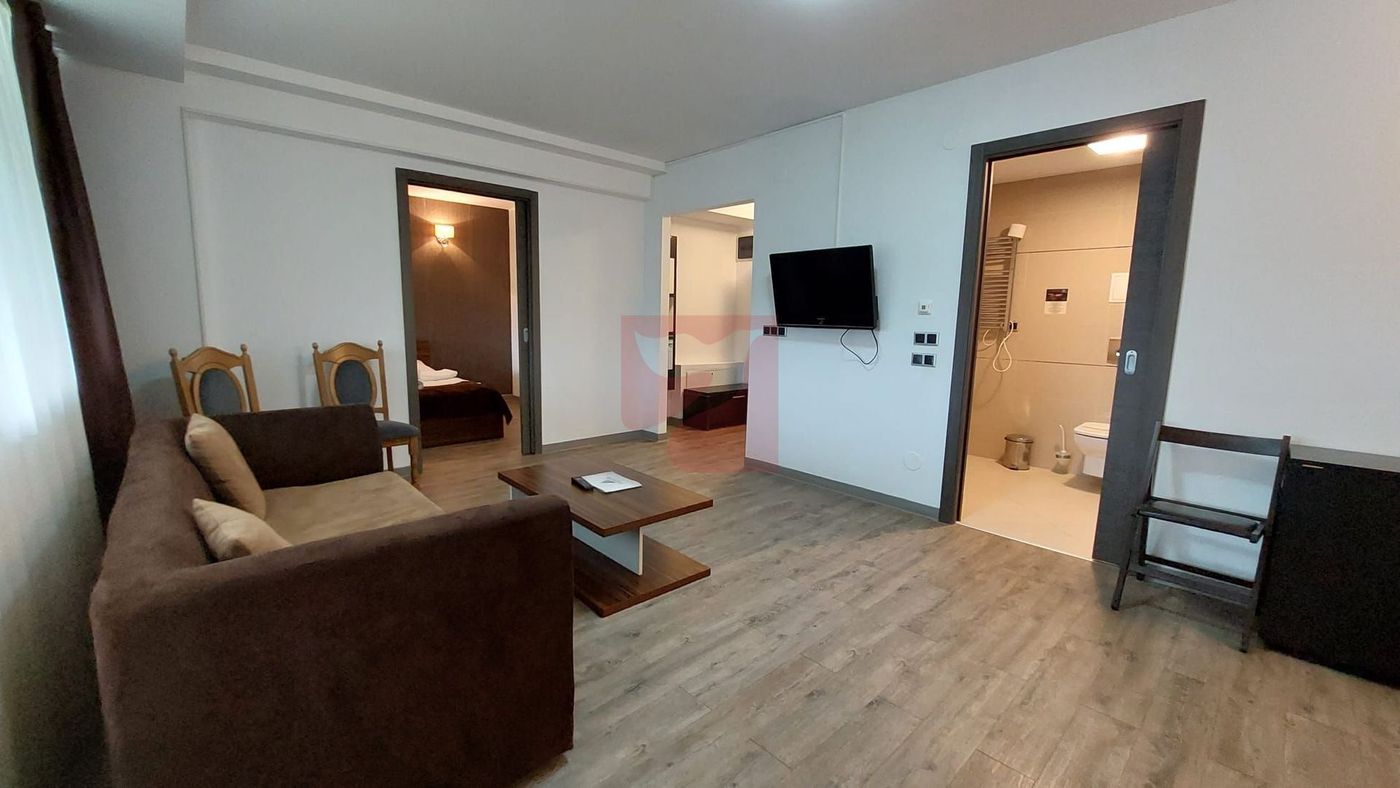 2 camere, intim, semineu, Silver Mountain