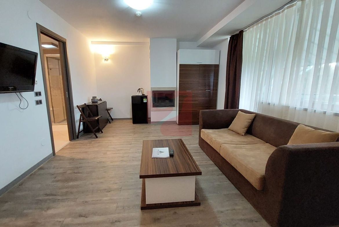 2 camere, intim, semineu, Silver Mountain