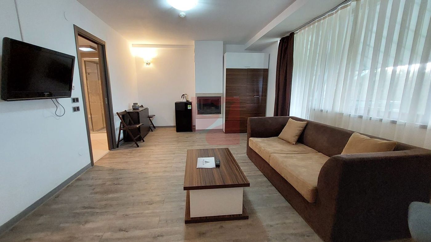 2 camere, intim, semineu, Silver Mountain