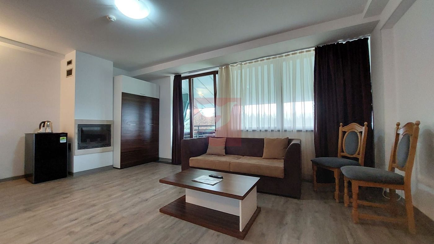 2 camere, intim, semineu, Silver Mountain