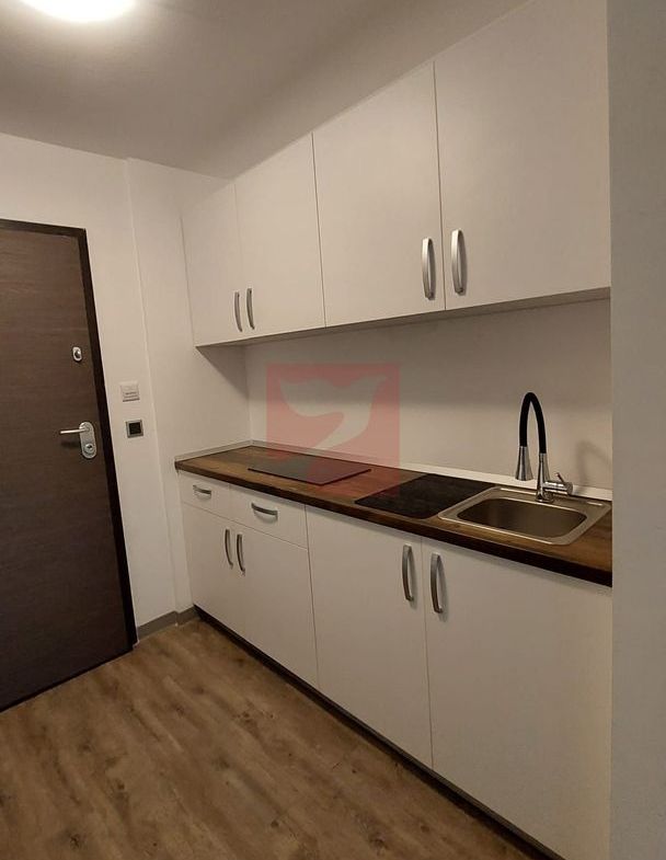 2 camere, intim, semineu, Silver Mountain