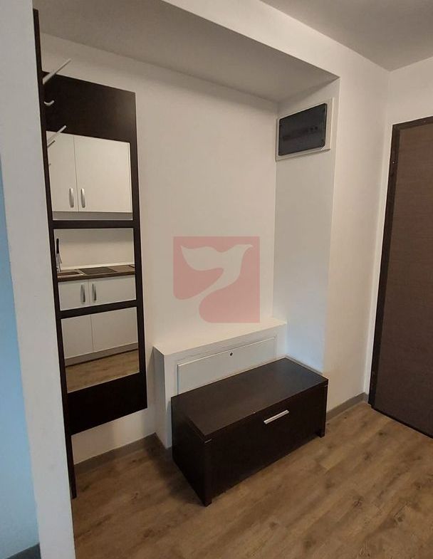 2 camere, intim, semineu, Silver Mountain
