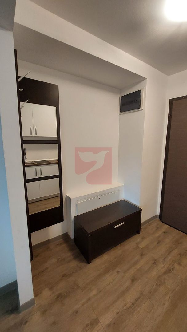 2 camere, intim, semineu, Silver Mountain