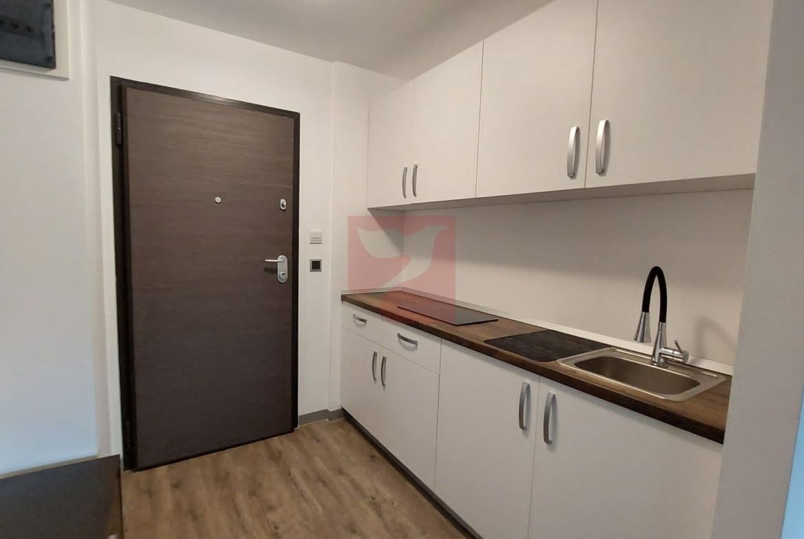 2 camere, intim, semineu, Silver Mountain
