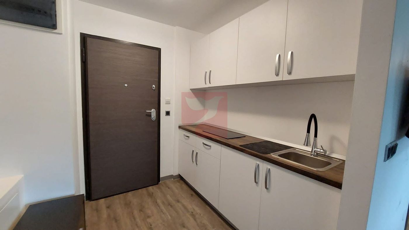 2 camere, intim, semineu, Silver Mountain