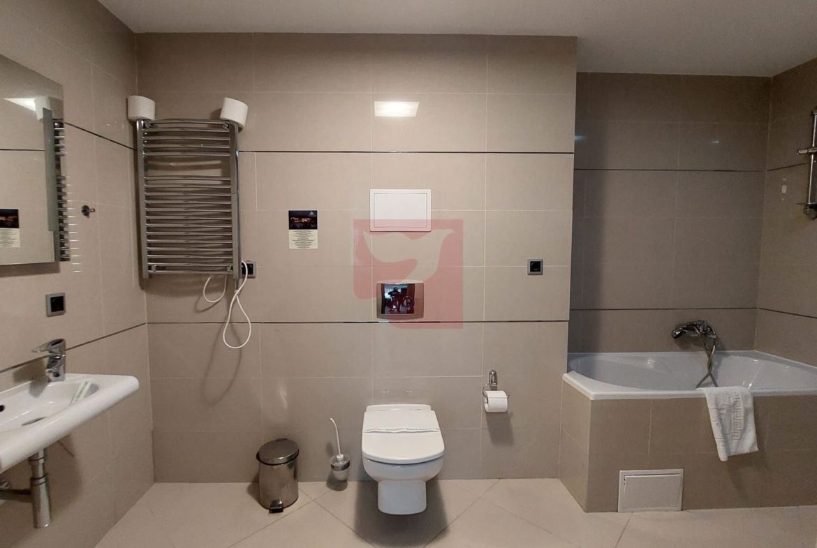 2 camere, intim, semineu, Silver Mountain