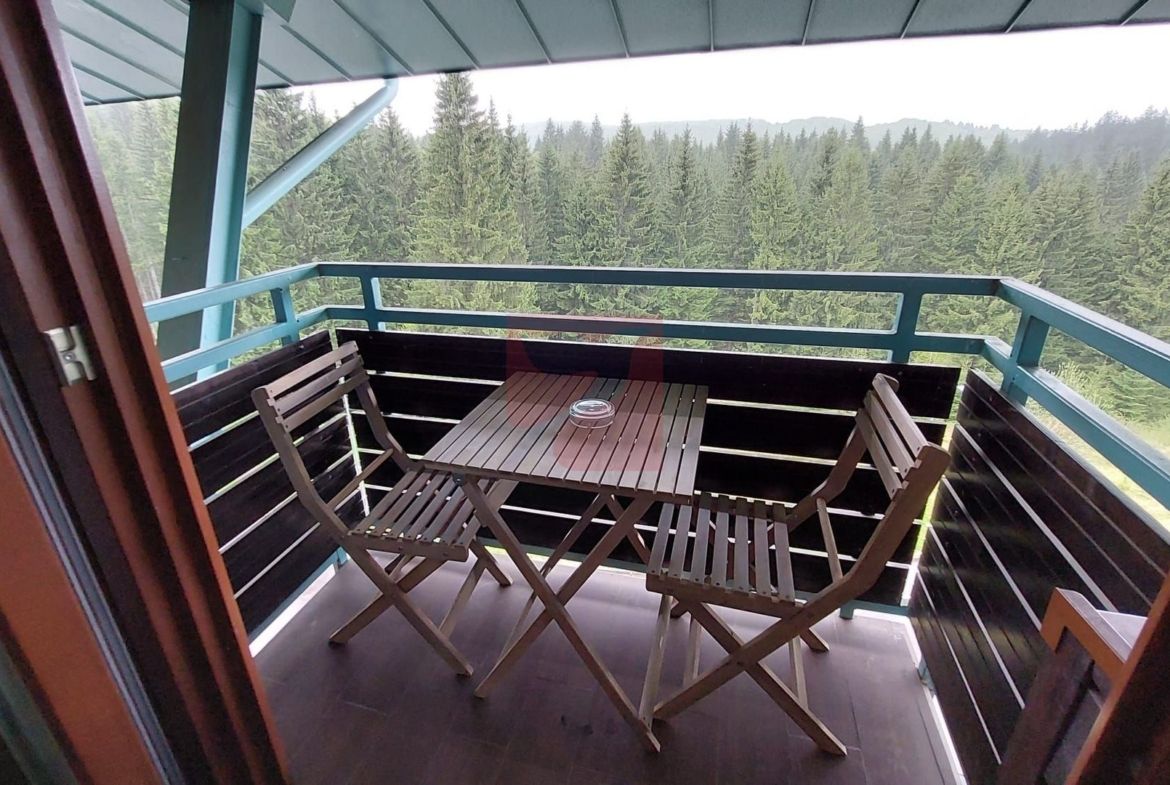 2 camere, intim, semineu, Silver Mountain