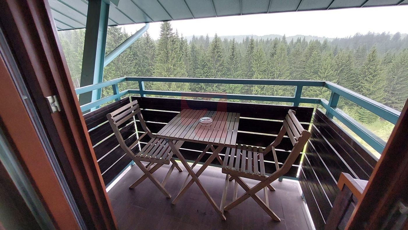 2 camere, intim, semineu, Silver Mountain