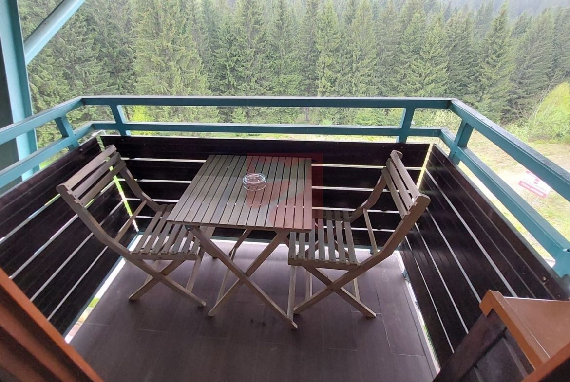 2 camere, intim, semineu, Silver Mountain