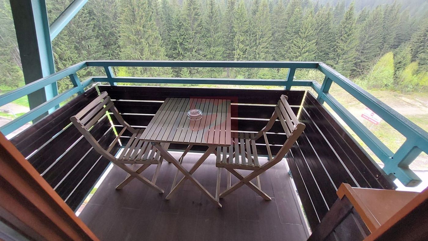 2 camere, intim, semineu, Silver Mountain