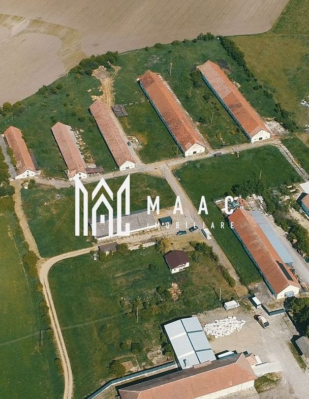 Hale disponibile 1400 mp I Teren 6000 mp I Utilități I Apoldu
