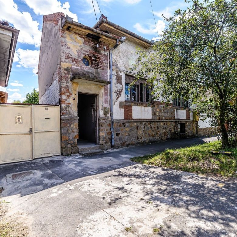 Casă pe Str. Dorobanților | 716 mp teren | Pârneava