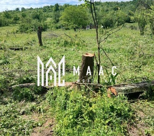 Teren Salatrucel | 830 m | 12 euro/ metru | Intravilan si extravilan |