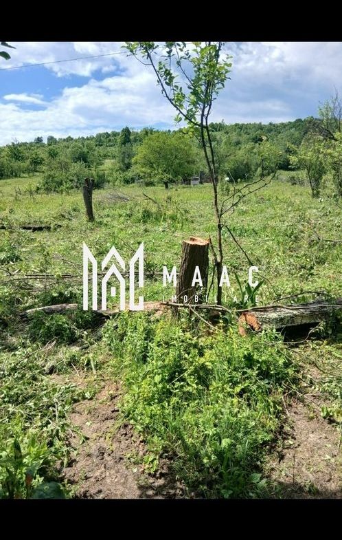 Teren Salatrucel | 830 m | 12 euro/ metru | Intravilan si extravilan |