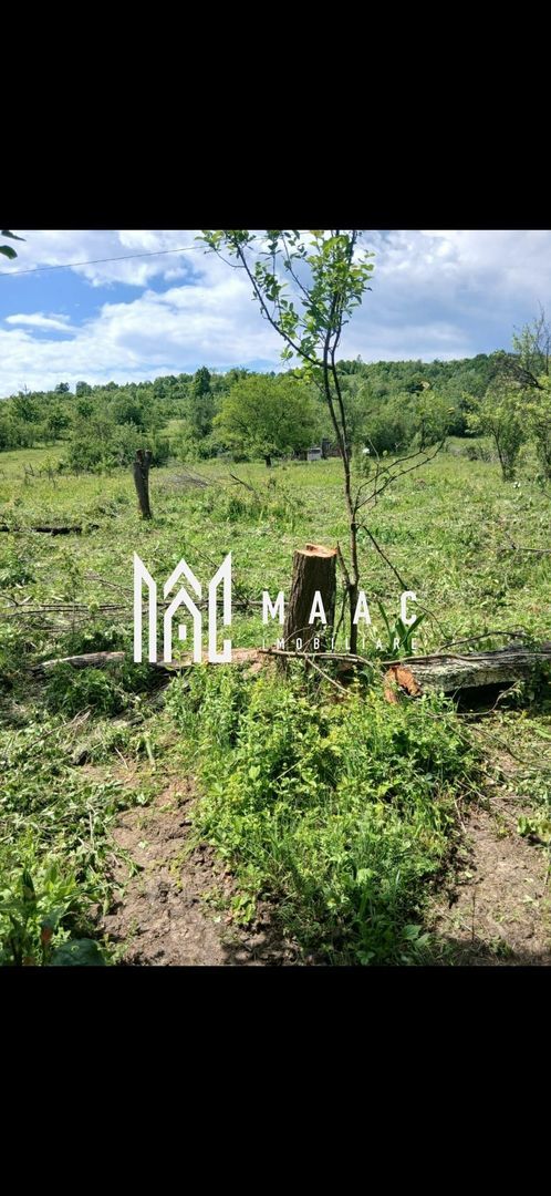 Teren Salatrucel | 830 m | 12 euro/ metru | Intravilan si extravilan |