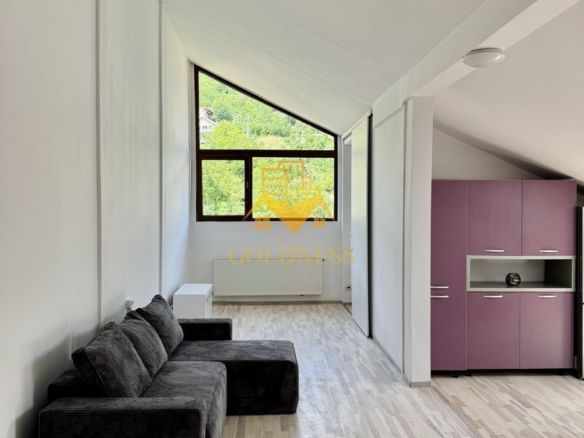 2 camere, Grigorescu, Donath, FESM, Iuliu Hațieganu, Pet Friendly