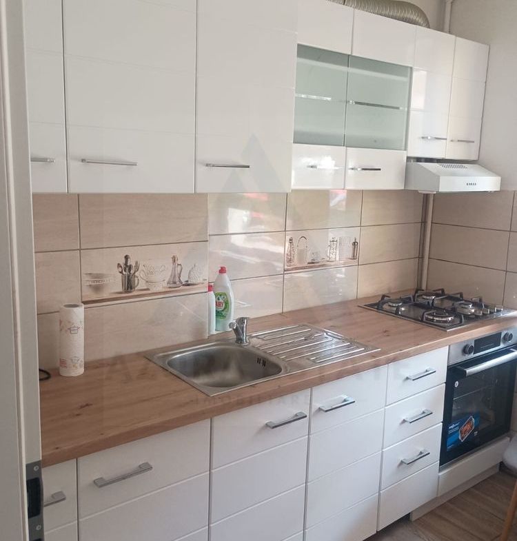 Apartament 2 camere complet mobilat parter 50 mp utili zona Terezian