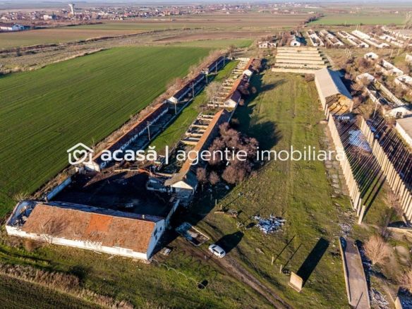 NĂDLAC | Teren 1.15 HA lângă Autostradă | 2.500mp Hale
