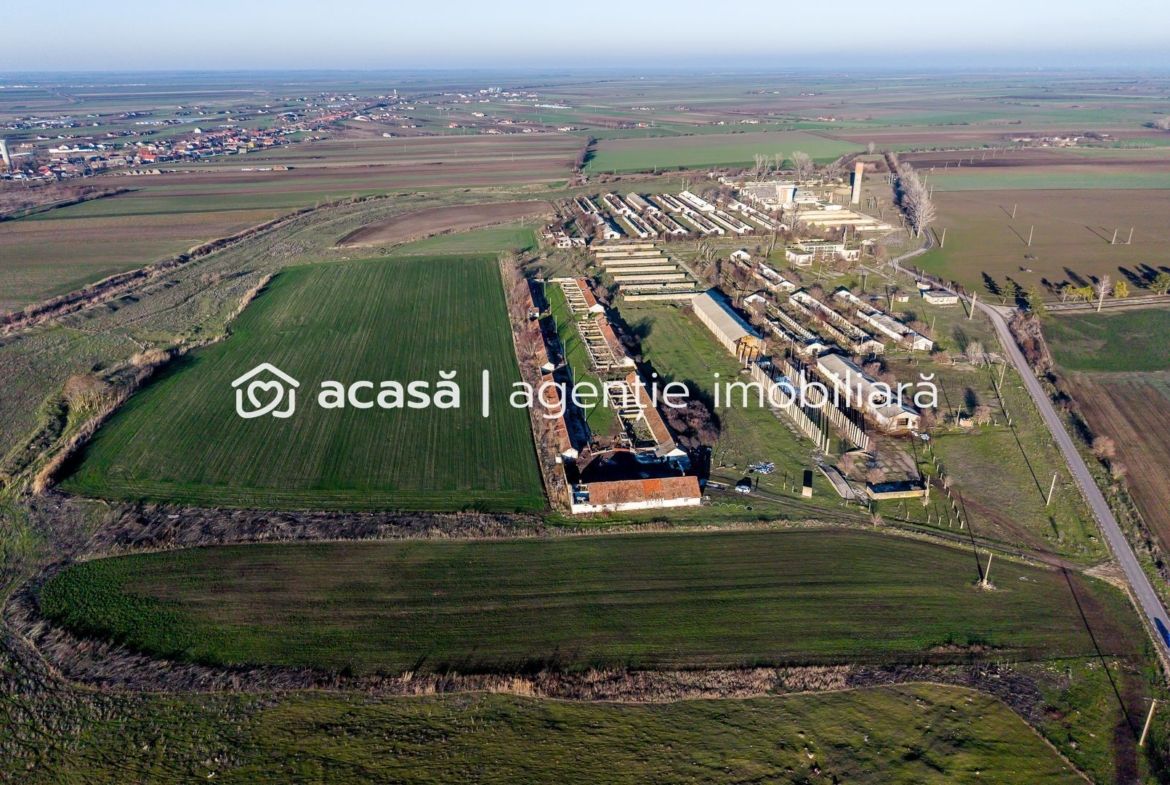 NĂDLAC | Teren 1.15 HA lângă Autostradă | 2.500mp Hale