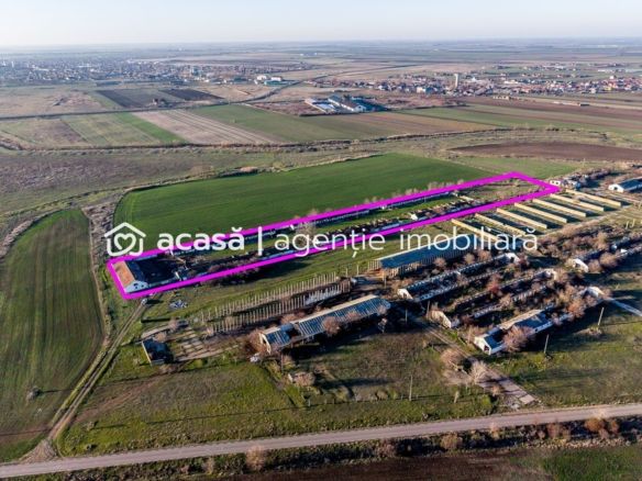 NĂDLAC | Teren 1.15 HA lângă Autostradă | 2.500mp Hale