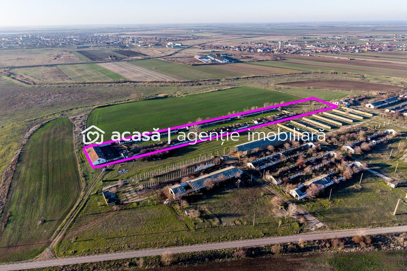 NĂDLAC | Teren 1.15 HA lângă Autostradă | 2.500mp Hale