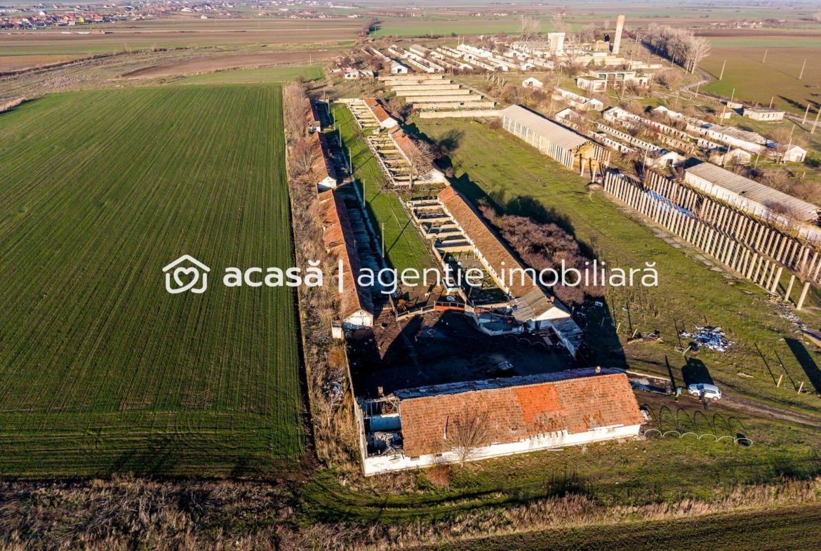 NĂDLAC | Teren 1.15 HA lângă Autostradă | 2.500mp Hale