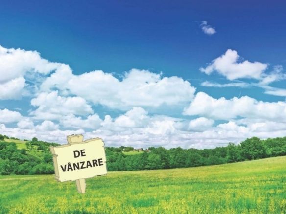 De vanzare 8 ha teren arabil extravilan Branistea, 11.000euro/ha negociabil