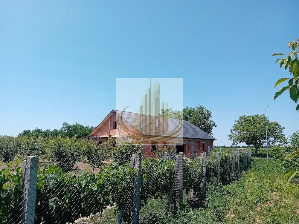 Vand/Schimb Livada Belint 16000mp