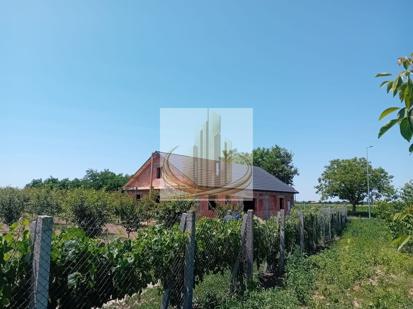 Vand/Schimb Livada Belint 16000mp