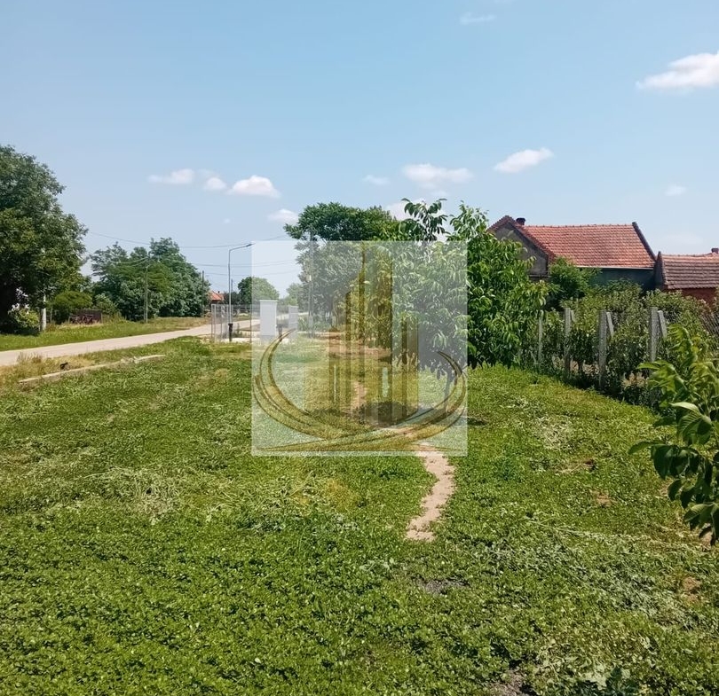Vand/Schimb Livada Belint 16000mp