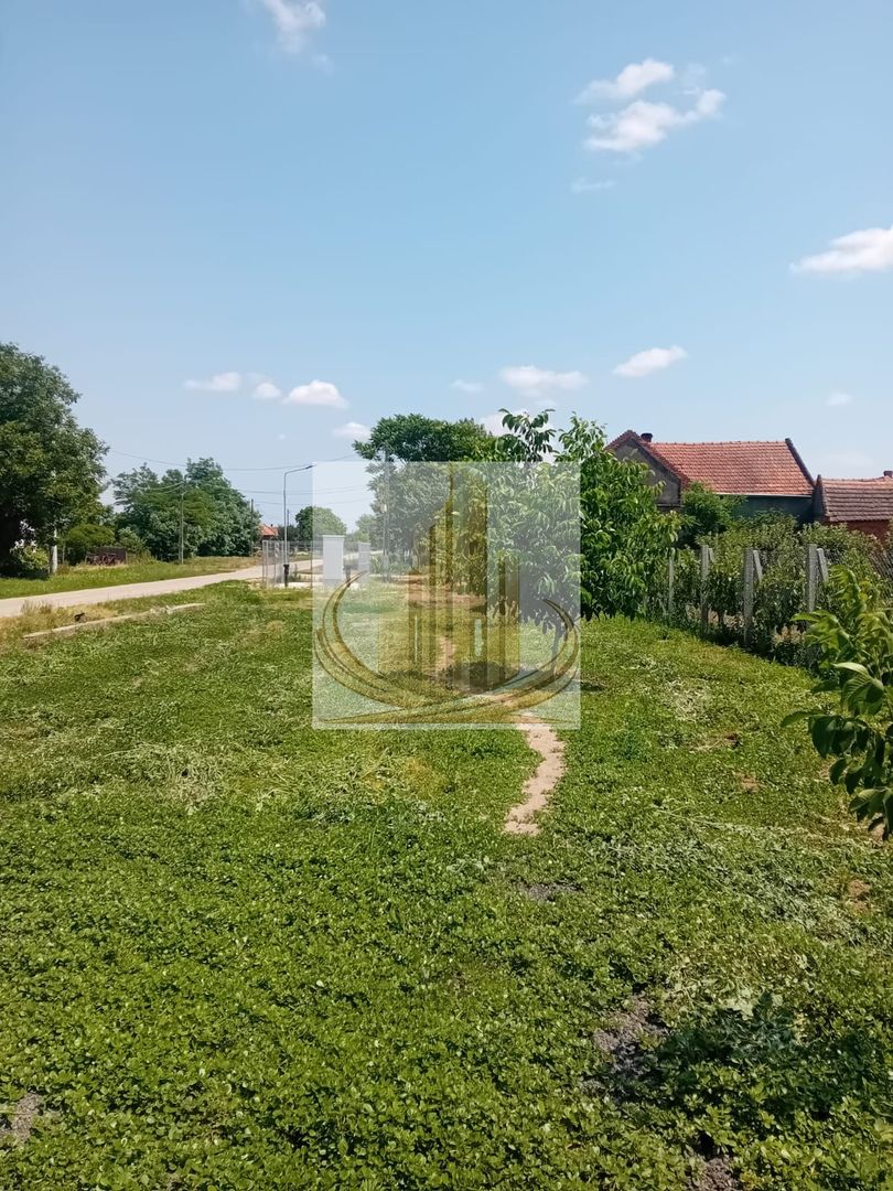 Vand/Schimb Livada Belint 16000mp
