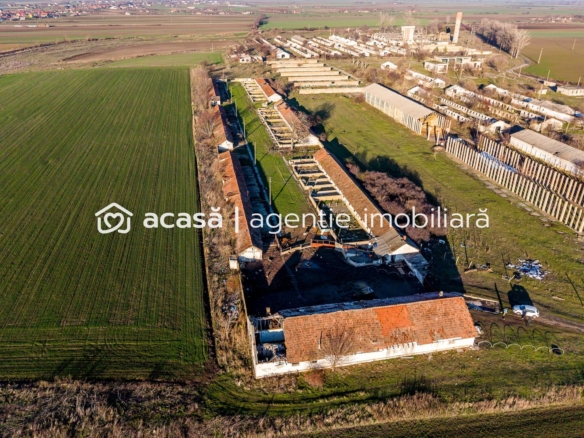 Teren 1.15 HA lângă Autostrada – Nădlac | clădiri+utilități