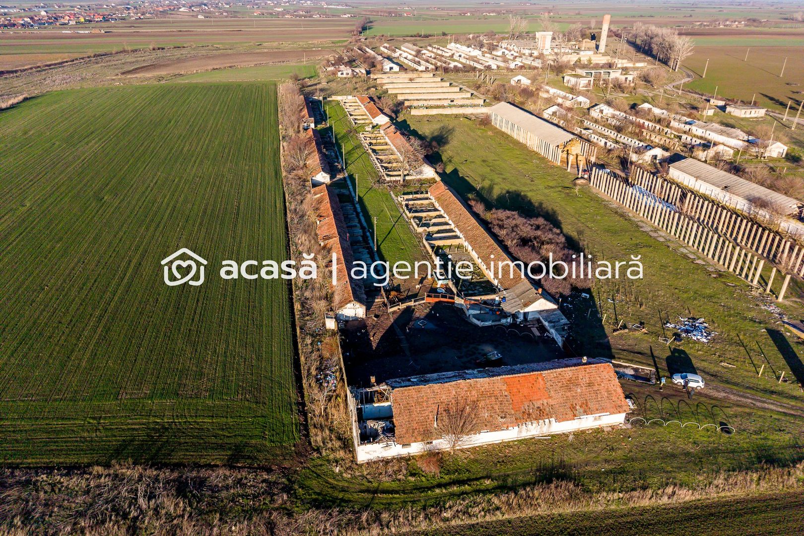 Teren 1.15 HA lângă Autostrada – Nădlac | clădiri+utilități