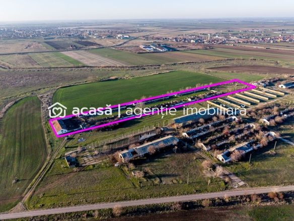Teren 1.15 HA lângă Autostrada – Nădlac | clădiri+utilități