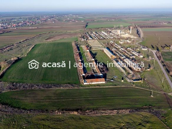 Teren 1.15 HA lângă Autostrada – Nădlac | clădiri+utilități