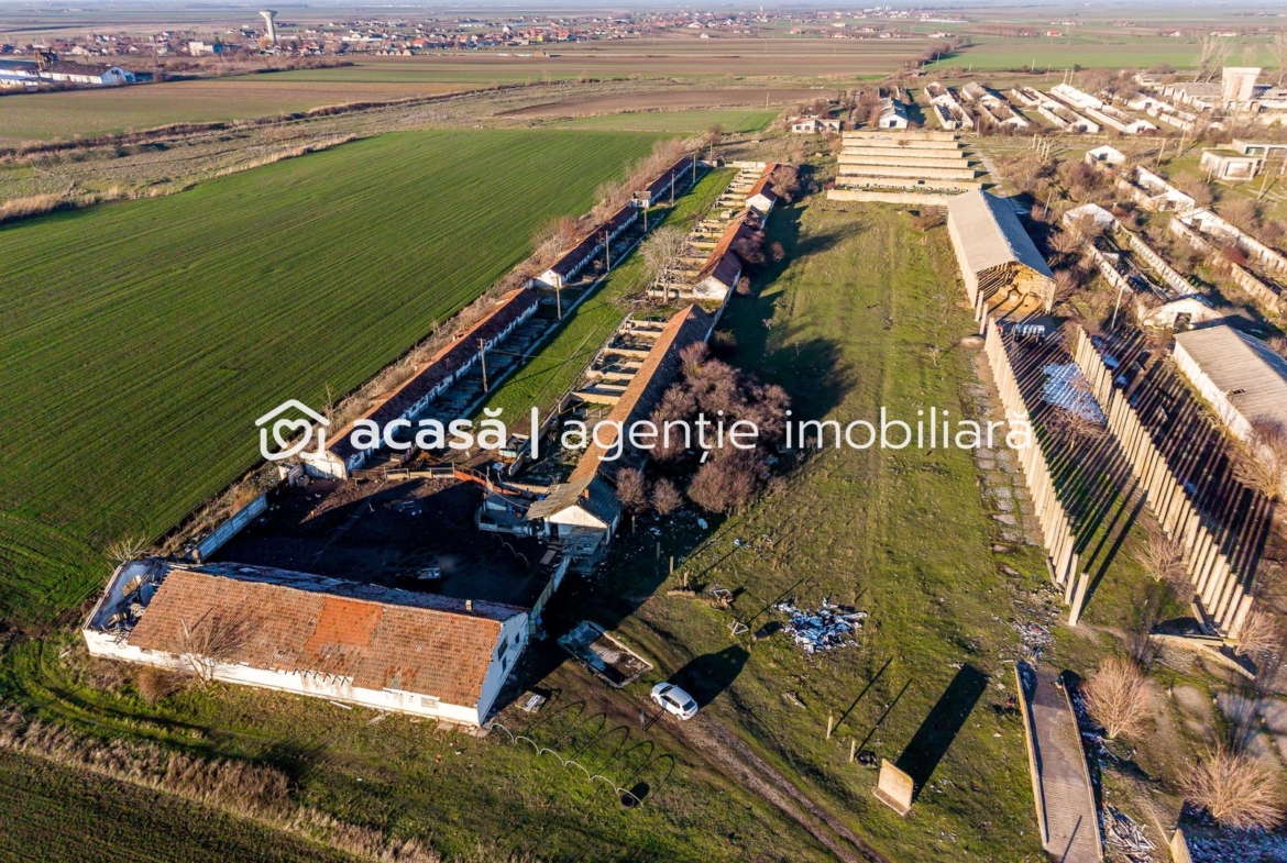 Teren 1.15 HA lângă Autostrada – Nădlac | clădiri+utilități