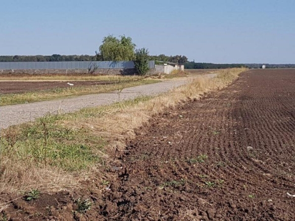 Teren intravilan de vânzare Brănești – DN3, deschidere 60 ml  investie