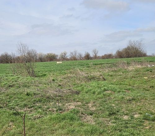 Afumati Balta Batal teren de vanzare 7000 mp