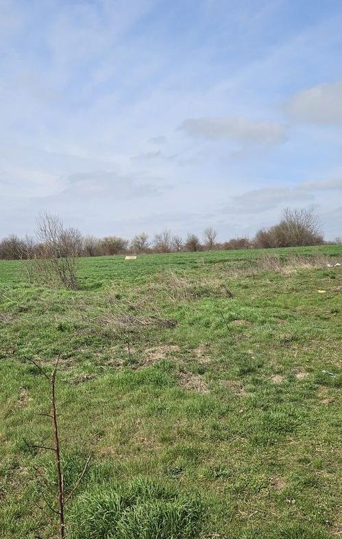 Afumati Balta Batal teren de vanzare 7000 mp