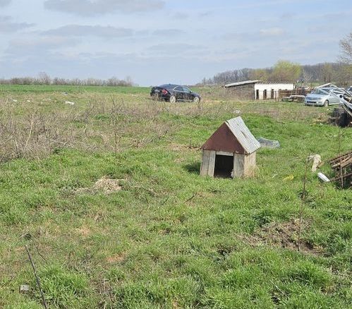 Afumati Balta Batal teren de vanzare 7000 mp