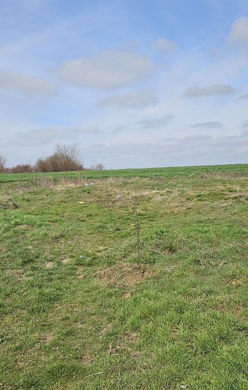 Afumati Balta Batal teren de vanzare 7000 mp
